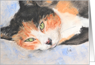 Calico Cat Fine Art Thinking of You card