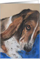 Basset Hound Dog Fine Art Blank Any Occasion card