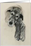 Irish Wolfhound Dog Fine Art Blank Any Occasion card