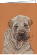 Shar Pei Dog Fine Art Thinking of You card