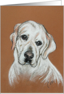 White Labrador Retriever Dog Fine Art Thinking of You card