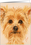 Terrier Dog Fine Art Blank Any Occasion card