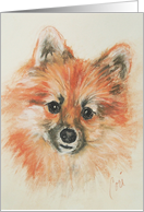 Pomeranian Dog Art Fine Art Blank Any Occasion card