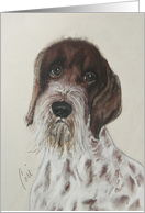 German Wirehaired Pointer Dog Fine Art Blank Any Occasion card