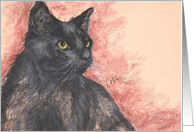 Black Cat Fine Art...