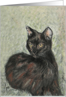 Black Cat Fine Art...
