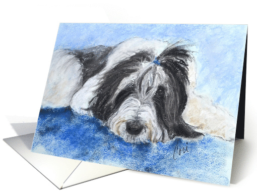 Bearded Collie Dog Fine Art Blank Any Occasion card (1274526)