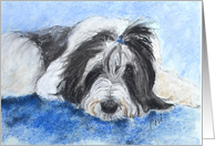 Bearded Collie Dog Fine Art Thinking of You card