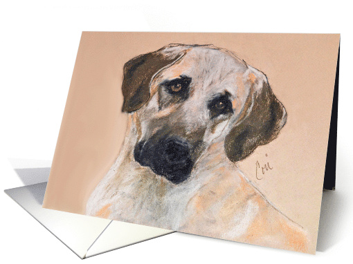 Anatolian Shepherd Dog Fine Art Thinking of You card (1278280)