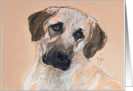 Anatolian Shepherd Dog Fine Art Thinking of You card