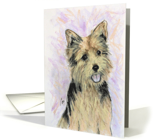 Norwich Terrier Dog Fine Art Blank Any Occasion card (1287638)