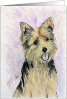 Norwich Terrier Dog Fine Art Blank Any Occasion card