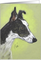 Greyhound Dog Fine Art Blank Any Occasion card