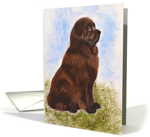 Newfoundland Newfie Dog Art Fine Art Blank Any Occasion card (1293260)