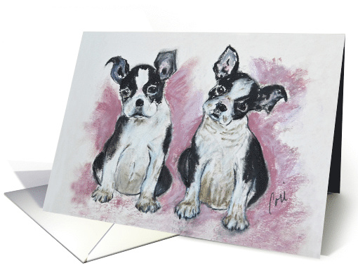 Boston Terrier Puppies Dog Art Fine Art Blank Any Occasion card