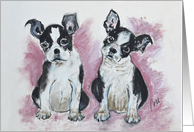 Boston Terrier Puppies Dog Art Fine Art Blank Any Occasion card