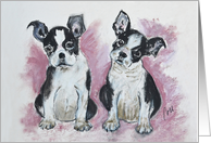 Boston Terrier Puppies Dog Art Fine Art Thinking of You card