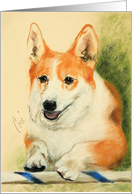 Pembroke Welsh Corgi...