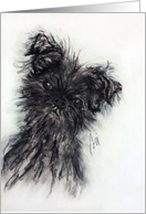 Affenpinscher Dog Fine Art Blank Any Occasion card