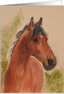 Bay Horse Fine Art Thinking of You card