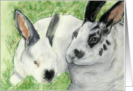 Bunny Rabbit Fine Art Blank Any Occasion card
