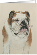 English Bulldog Dog Fine Art Thinking of You card