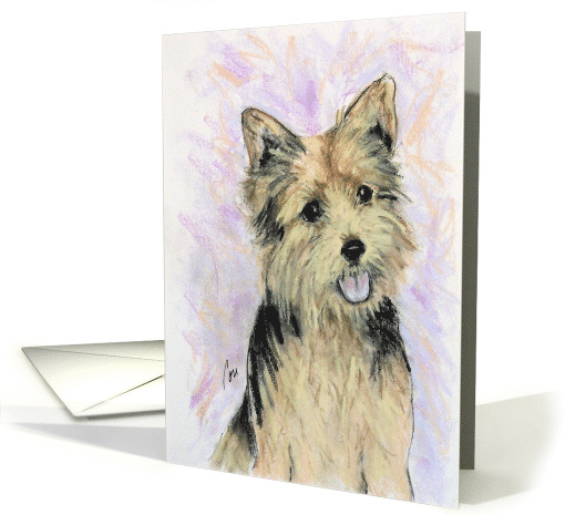 Norwich Terrier Dog Fine Art Thinking of You card (1432008)