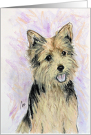 Norwich Terrier Dog Fine Art Thinking of You card