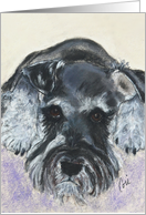 Schnauzer Dog Fine Art Thinking of You card