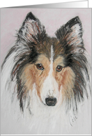 Shetland Sheepdog Sheltie Dog Fine Art Thinking of You card