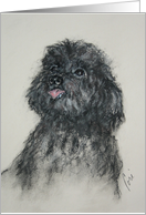 Black Toy Poodle Dog Fine Art Blank Any Occasion card