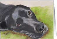 Black Labrador Retriever Fine Art Blank Any Occasion card