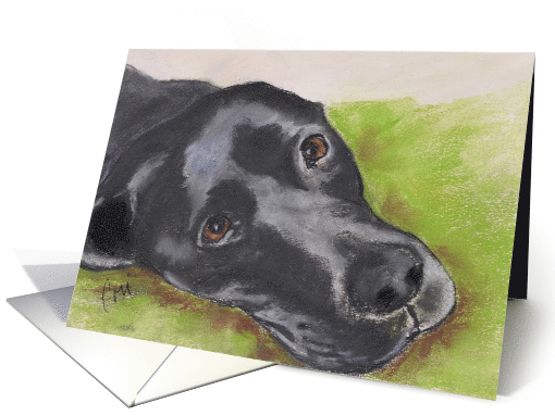 Black Labrador Retriever Fine Art Thinking of You card (1479448)
