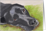 Black Labrador Retriever Fine Art Thinking of You card