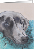 Weimaraner Dog Fine Art Blank Any Occasion card