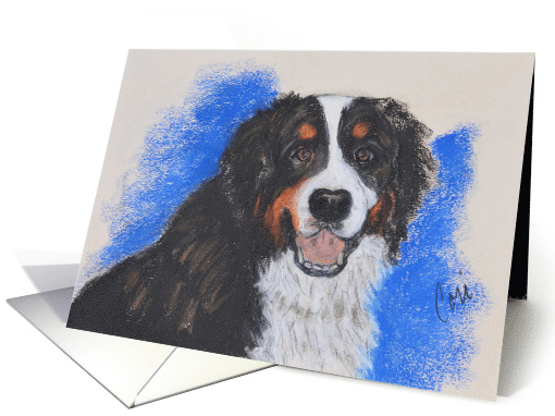 Bernese Mountain Dog Fine Art Blank Any Occasion card (1499916)