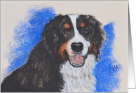 Bernese Mountain Dog Fine Art Thinking of You card