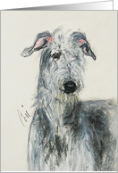 Scottish Deerhound Dog Fine Art Blank Any Occasion card