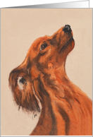 Long Haired Dachshund Dog Fine Art Blank Any Occasion card
