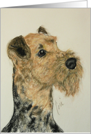 Airedale Dog Fine Art Blank Any Occasion card