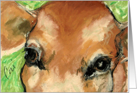 Cow Farm Animal Fine Art Blank Any Occasion card