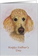 Apricot Standard Poodle Dog Fine Art Father’s Day card