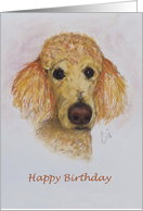 Apricot Standard Poodle Dog Fine Art Birthday card