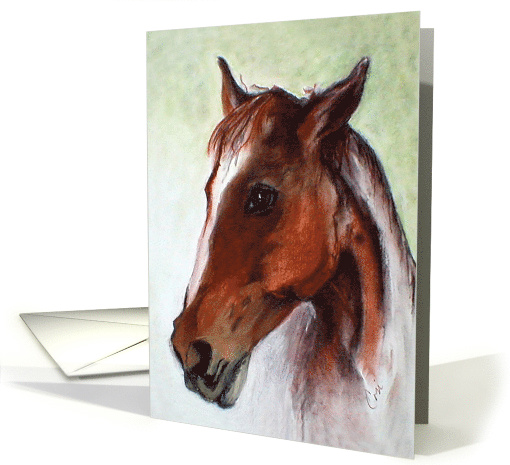 Bay Horse Fine Art Blank Any Occasion card (1574732)