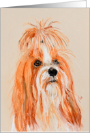 Tibetan Terrier Fine Art Thinking of you card