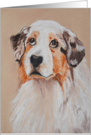 Australian Shepherd Fine Art Thinking of you card