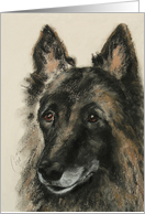 Belgian Tervuren Fine Art Blank any occasion card