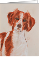 Brittany Dog Fine Art Thinking of you card