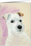 Rough Coat Jack Russell Terrier Fine Art Blank any occasion card