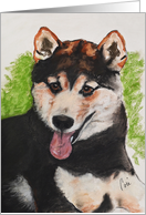 Shiba Inu Fine Art Thinking of you card